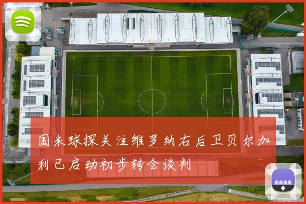 国米球探关注维罗纳右后卫贝尔加利已启动初步转会谈判