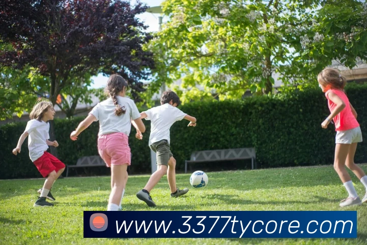 多媒体互动体验